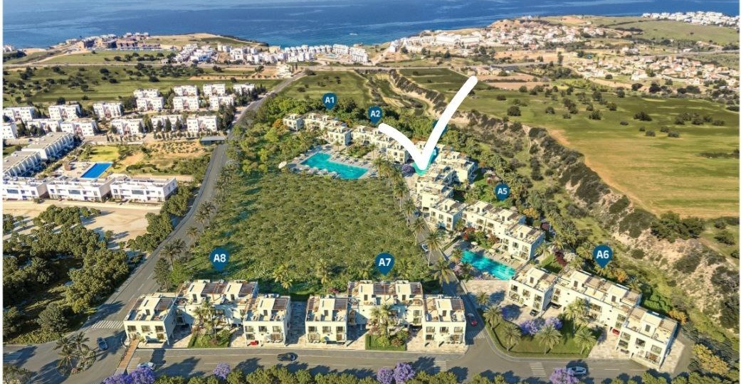 Отличные новости! Поздравляем новую хозяйку с блестящей инвестицией в райский уголок