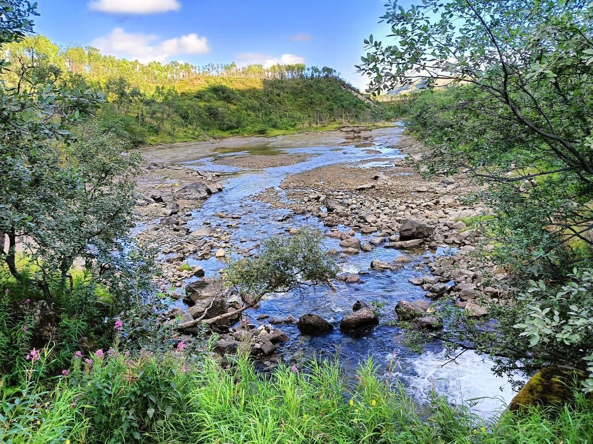 фото нашего корреспондента (Игорь Стэн)