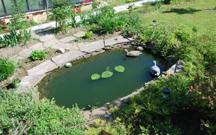 Водоем перед холодами: правильная очистка и уход до зимы
