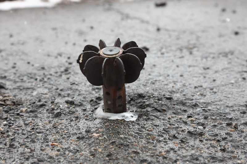    Наталья Шатохина/NEWS.ru