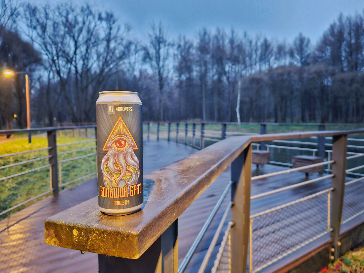 Большой брат, фото автора