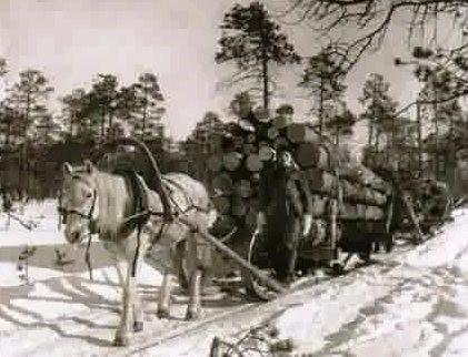 Наша история: лесозаготовки