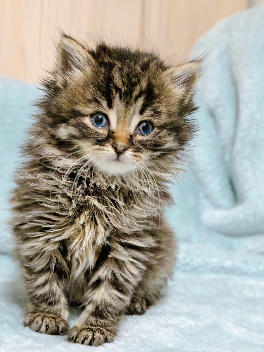 Фото из архива автора