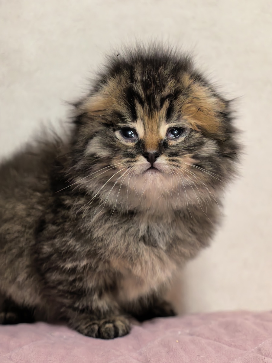 Фото из архива автора