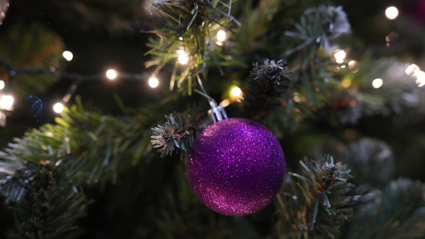    Фото: ИЗВЕСТИЯ/Дмитрий Коротаев