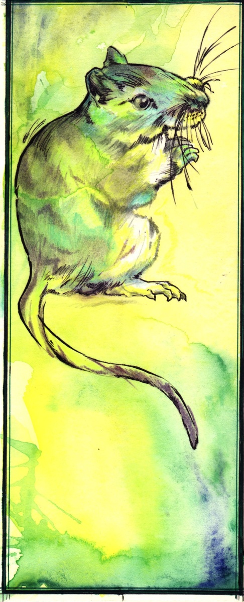 Мышка просит поесть.