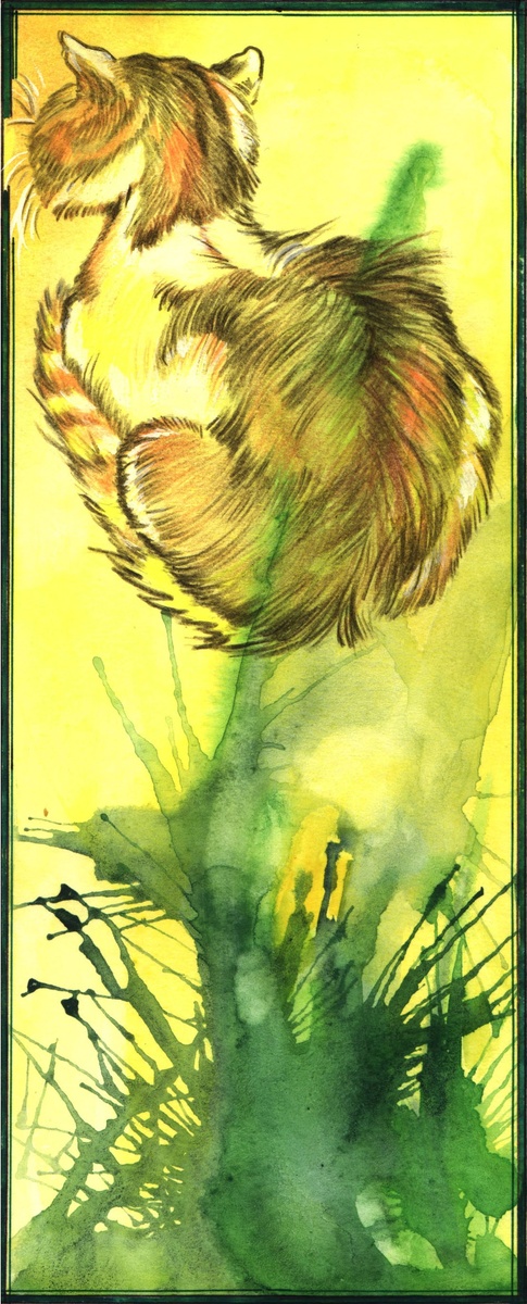 Калико - трёхцветная кошка.