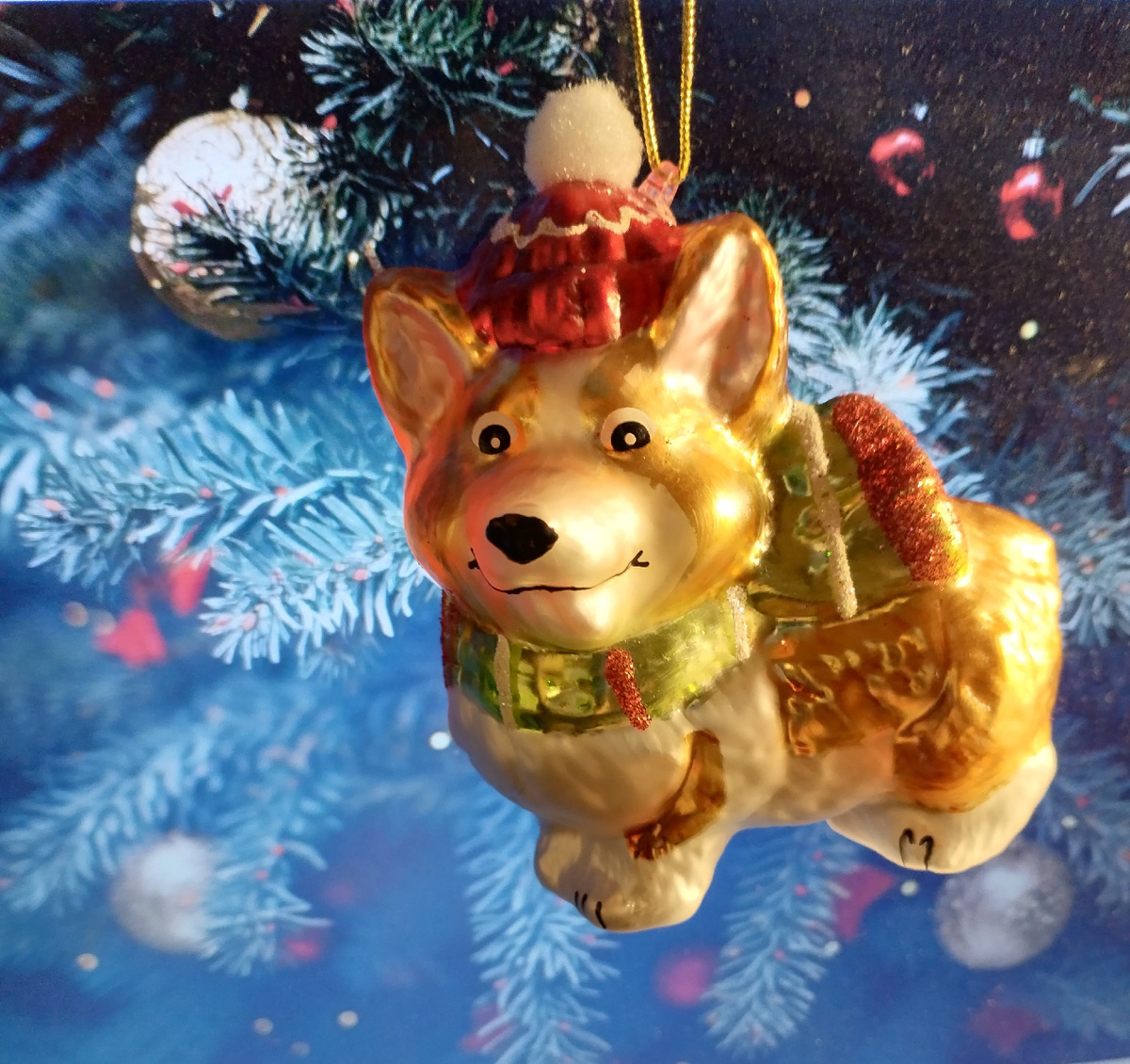 когда там у нас год Собаки?