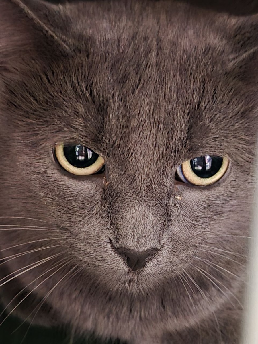 Узнаваемая красота