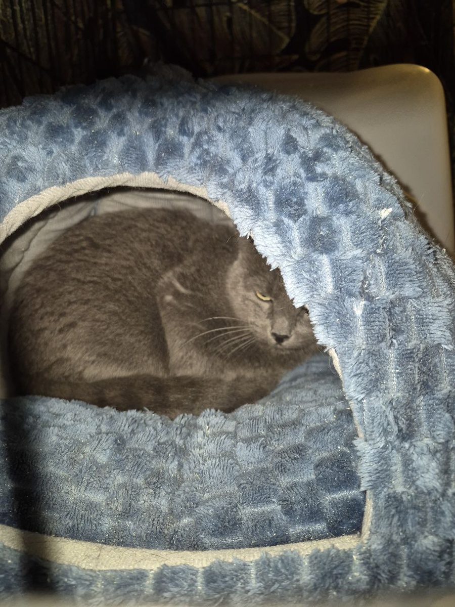 Хочу дом. И чтоб тихо там