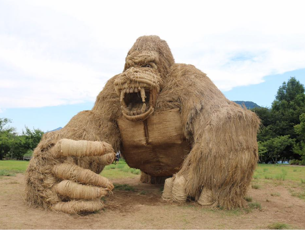 Руку специально оставили пустой, чтобы фотографироваться, что вас похищает соломенный конг