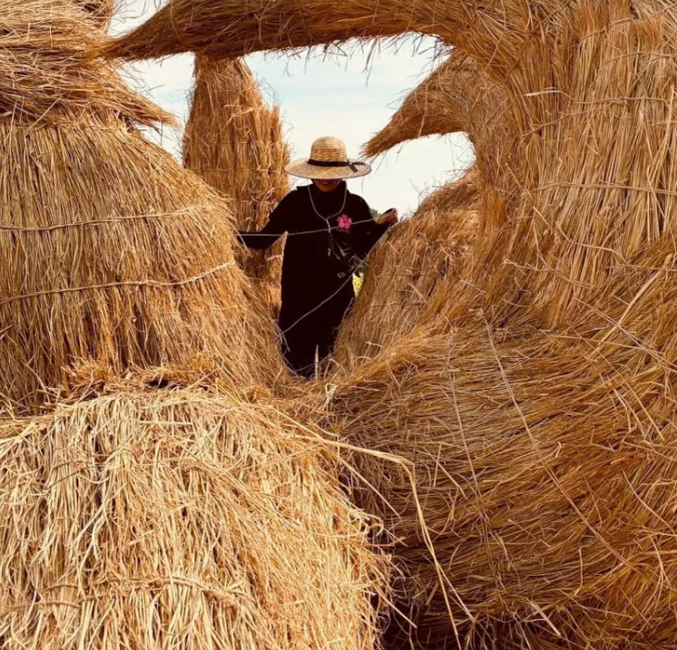 Солому вяжут исключительно веревками, это шибари, я рассказывала