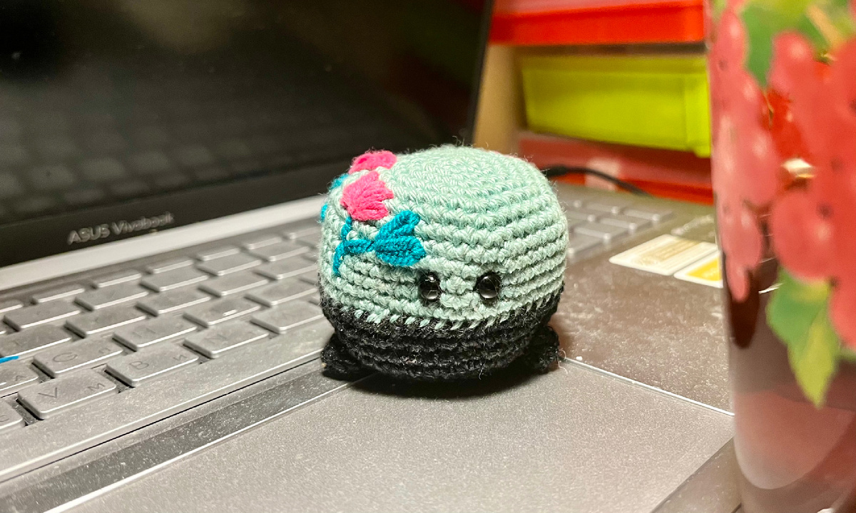 «Земля» прижилась у меня на столе 