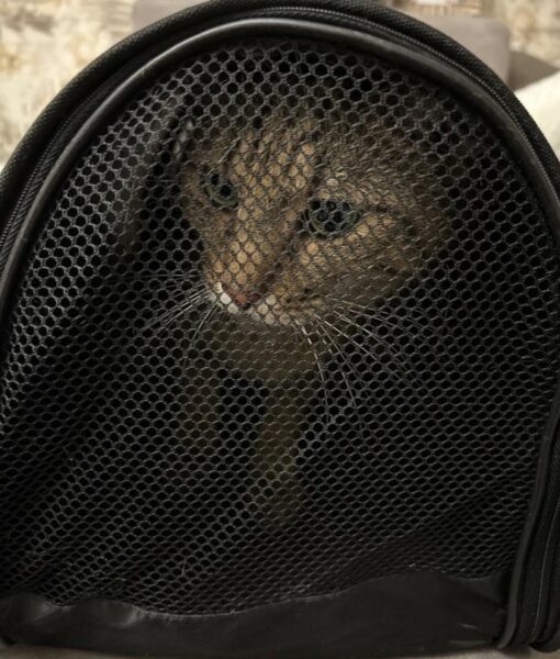    Фото: архив Эльвиры Гараевой