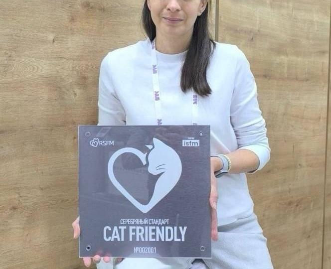 Ваш кот в ветклинике дрожит в переноске? Есть места, где его поймут без слов