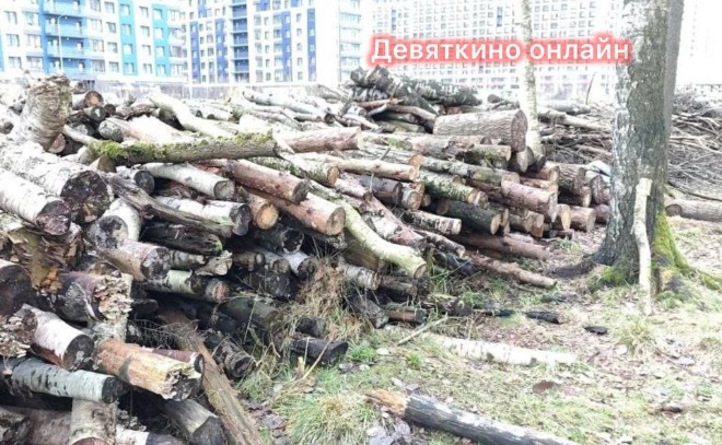    © Telegram-канал «Девяткино online | Мурино»