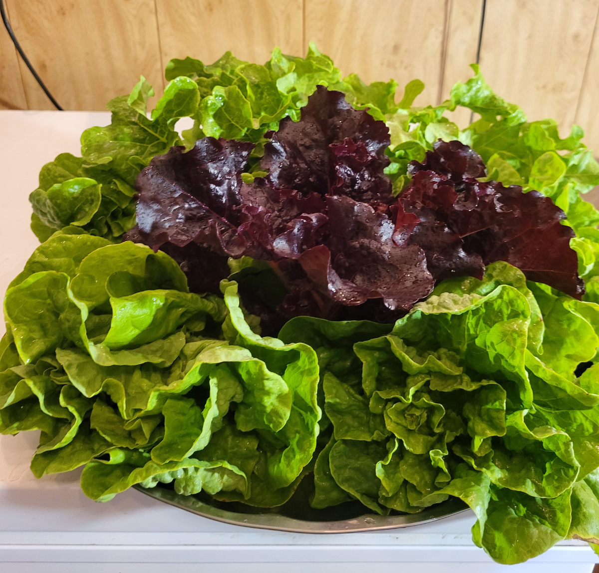 Салаты. Фото из домашнего архива. 