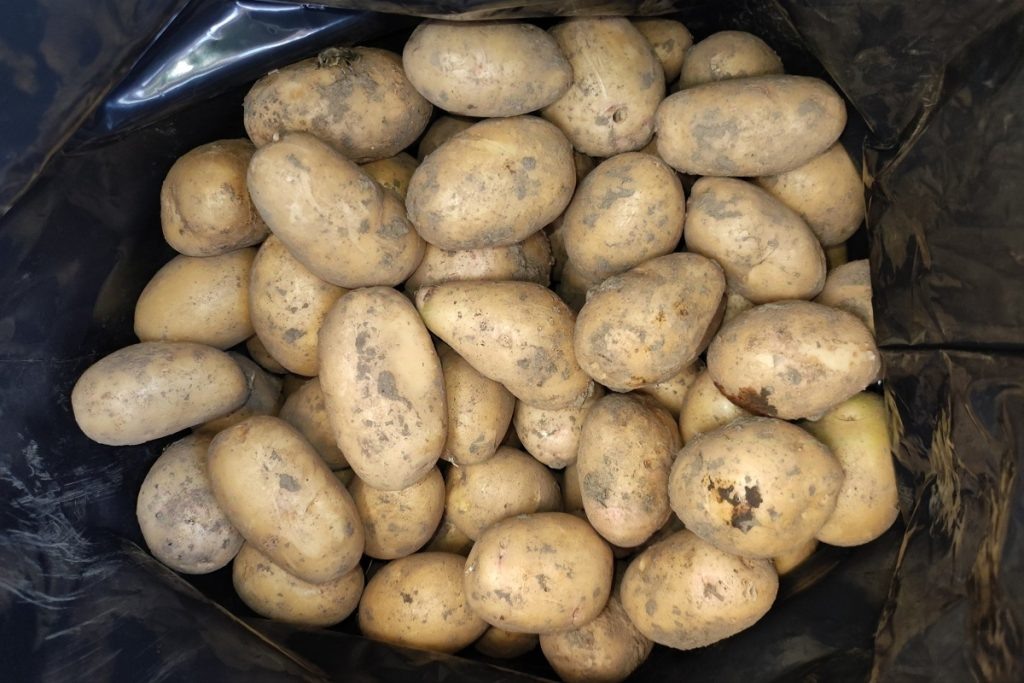 фото: Никита Романов