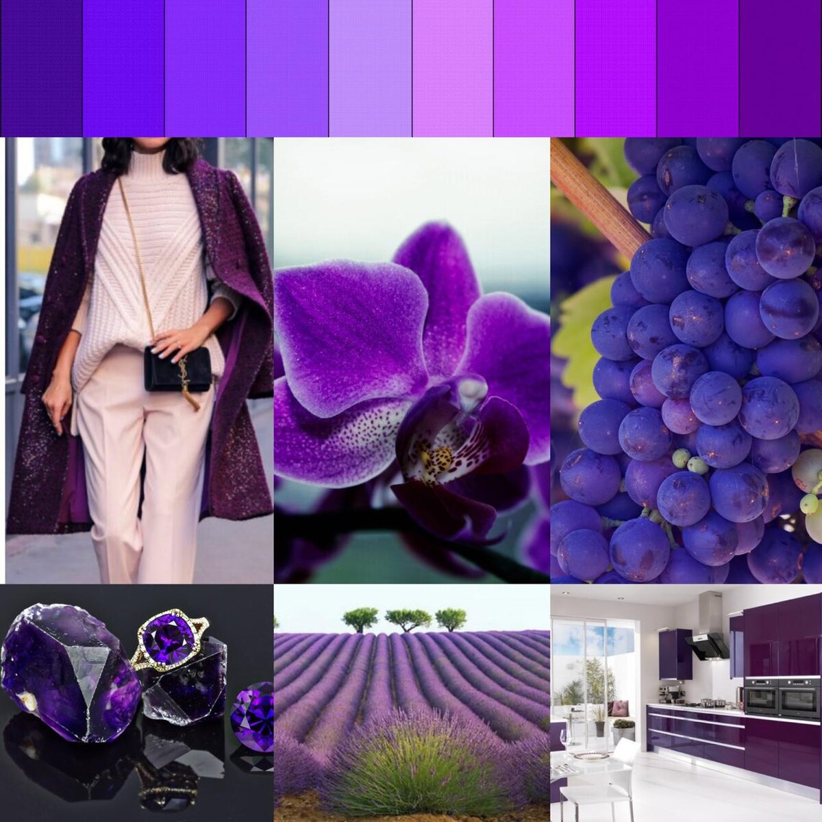 Фиолетовый цвет в природе, интерьере, одежде