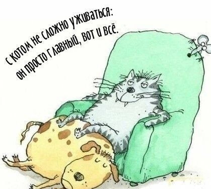 Картинка взята из открытого доступа в сети Интернет