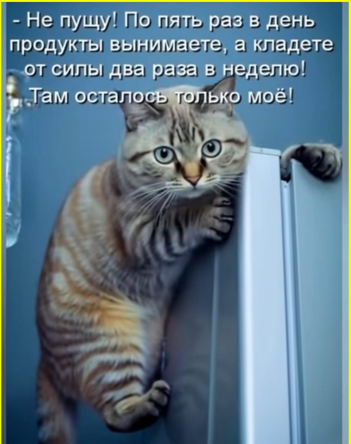 Картинка взята из открытого доступа в сети Интернет