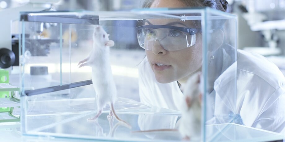    Фото: depositphotos/Kzenon