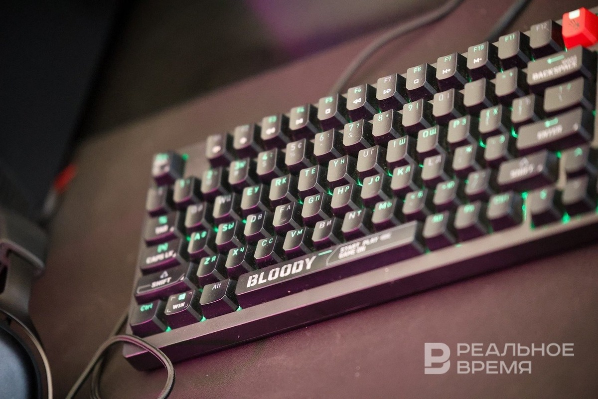   Артем Дергунов / realnoevremya.ru