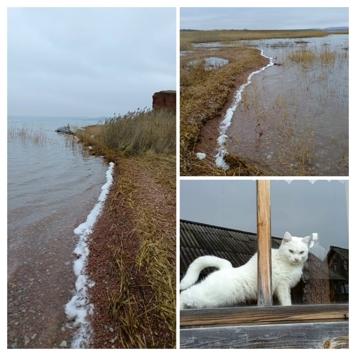 Фото: Юлия Репецкая