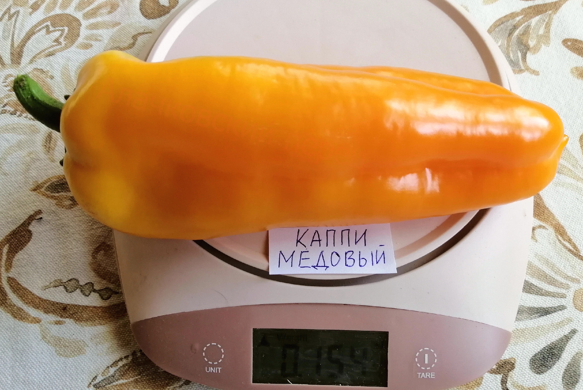 Каппи медовый