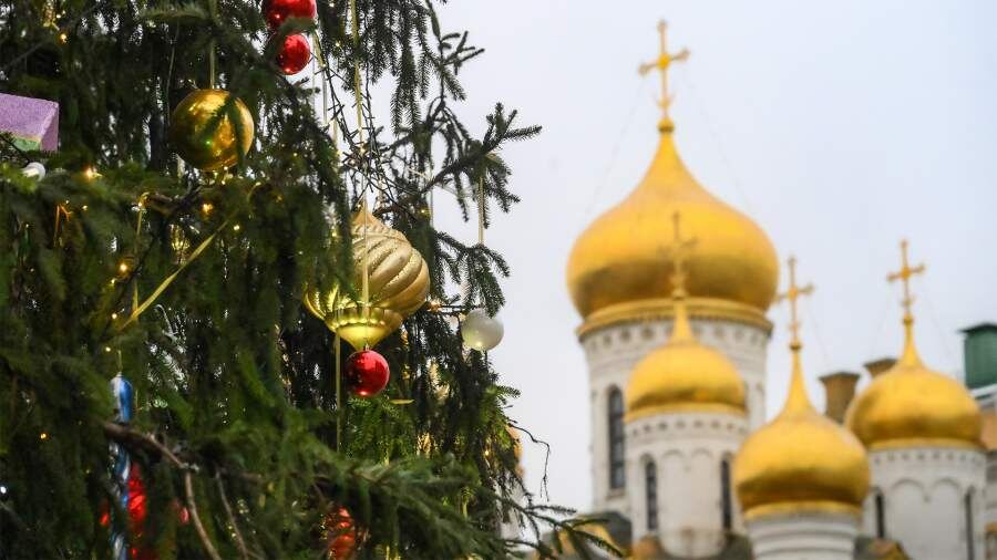    Фото: РИА Новости/Илья Питалев