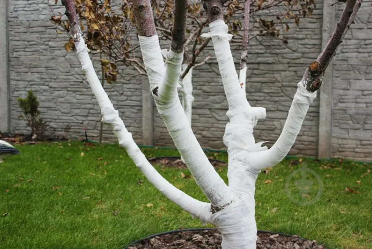 Источник фото: teplonpro.ru