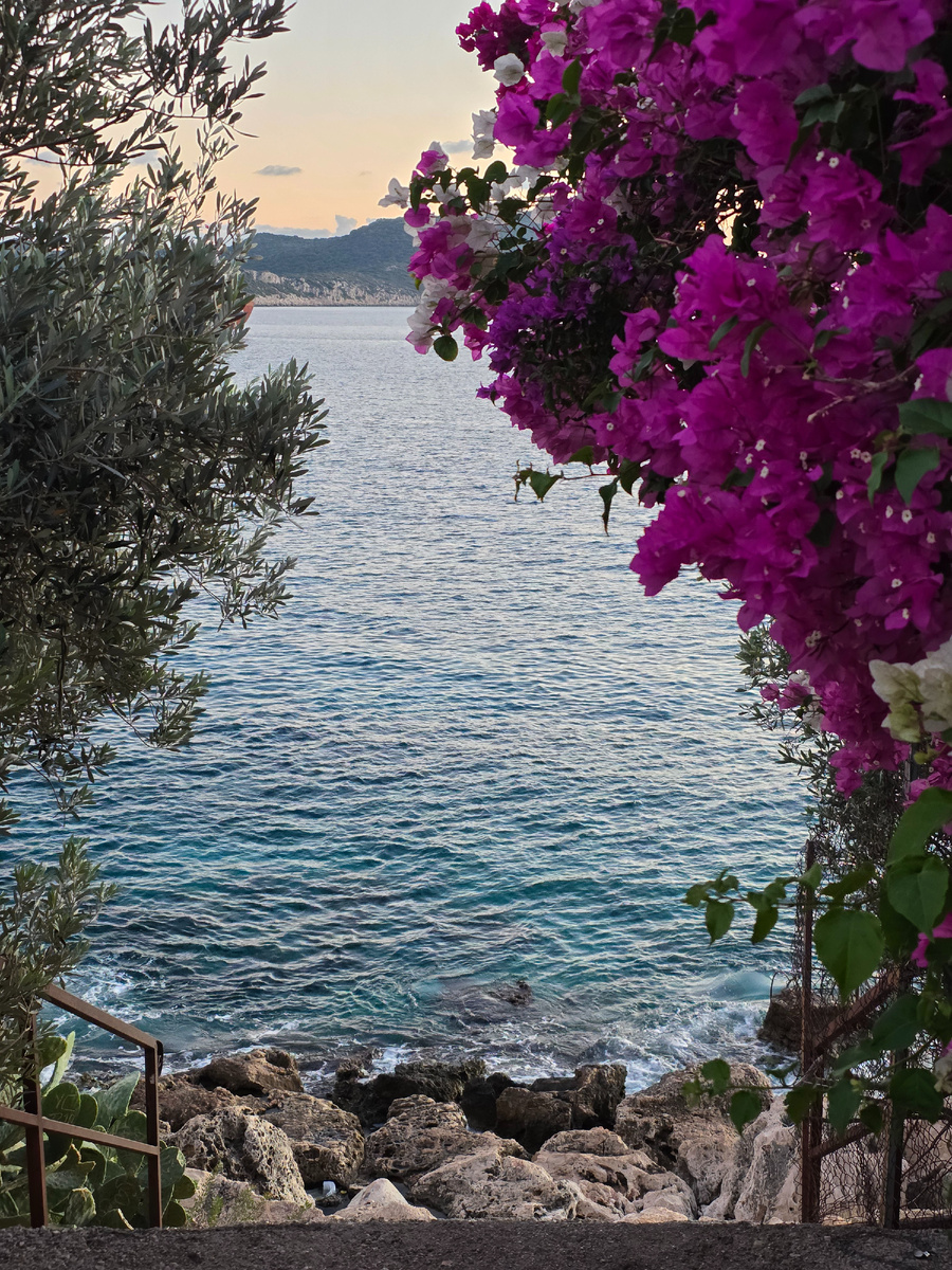 На фото начало декабря: растения цветут, а температура воды в море 22-23 градуса. Но если скрыается солнце и дует ветер, то уже холодно