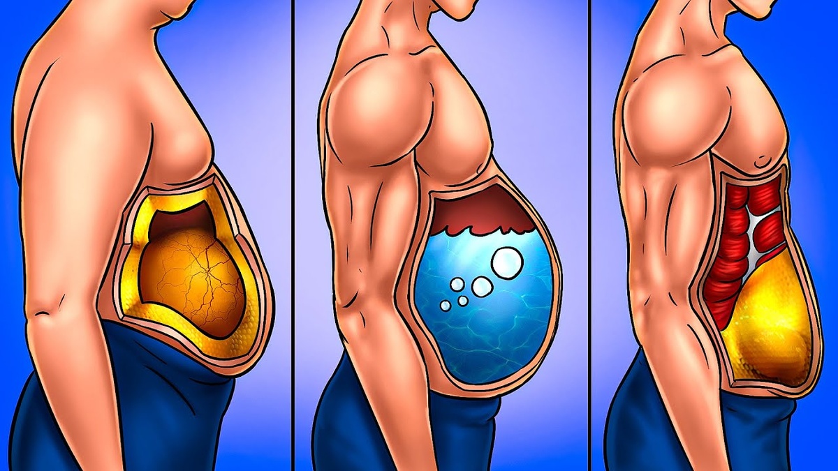 Почему после 40 у многих растёт живот — и дело вовсе не в еде