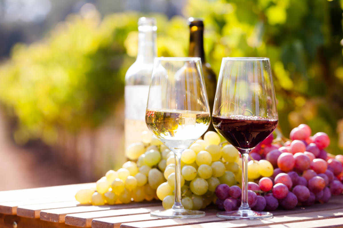 Источник: t.me/restovedofficial