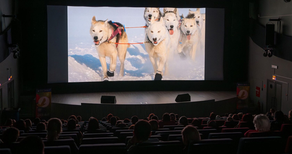 Фото: "Золотой ворон" 