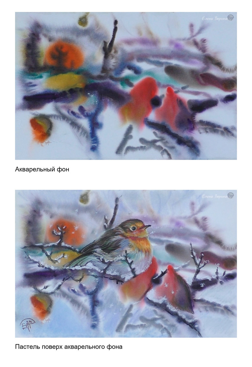 Художник Елена Тюрина. Зарянка. Смешанная техника акварель плюс пастель. Формат А4. 2024 г.