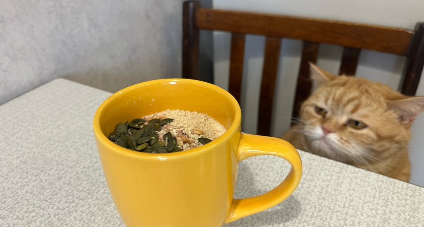    Фото: progorod43.ru