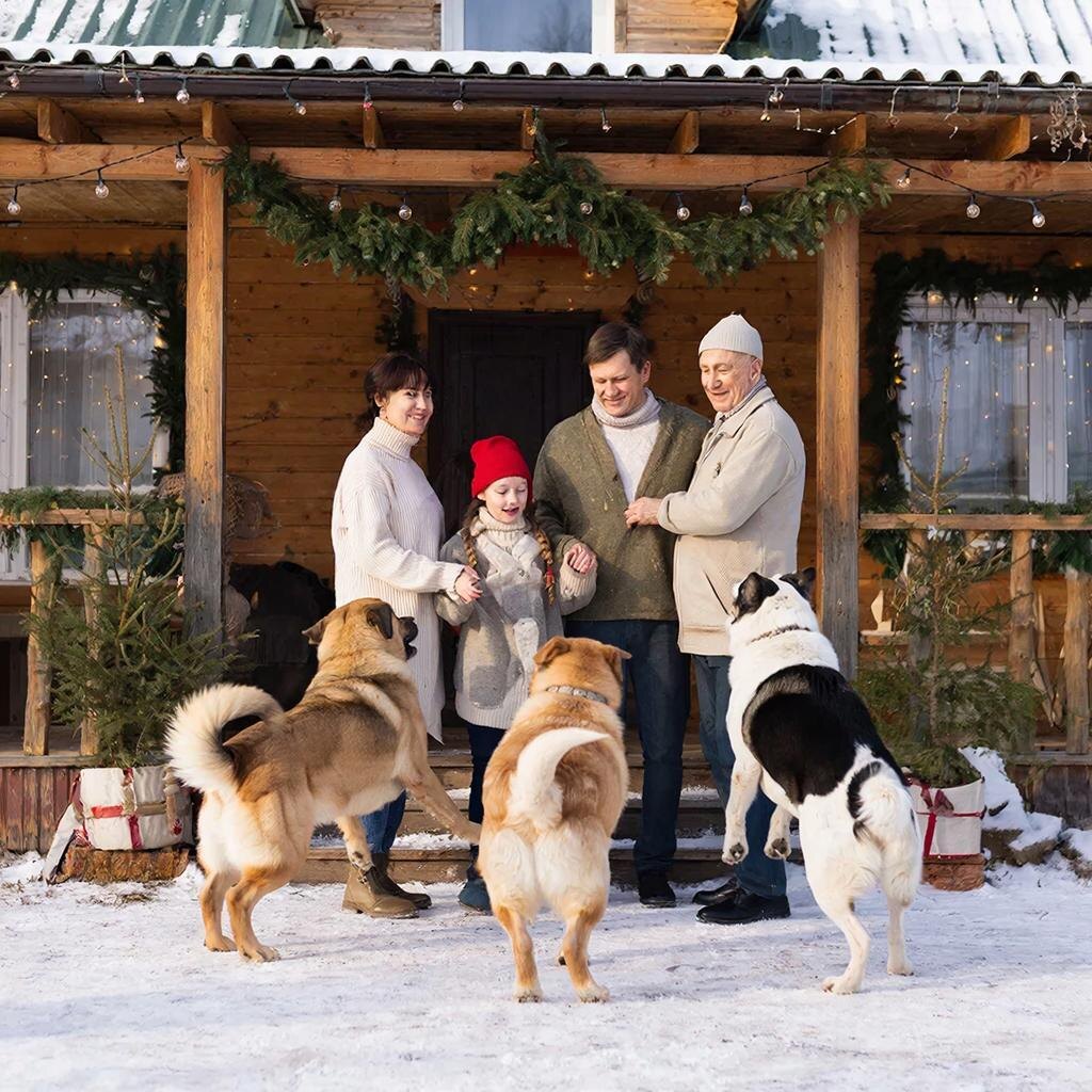 в гостях у деда