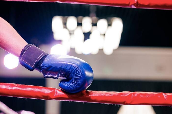 Обложка © Shutterstock / FOTODOM / sergey kolesnikov