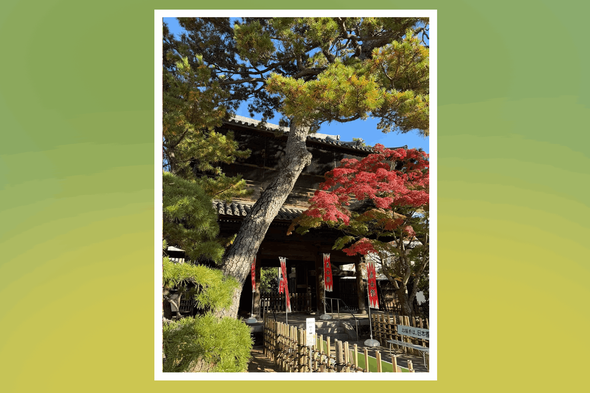 Храм Сэнгакудзи и могила 47 ронинов. Храм принадлежит секте Сото-сю, одной из главных ветвей дзэн-буддизма. Первоначально был построен в 1612 году