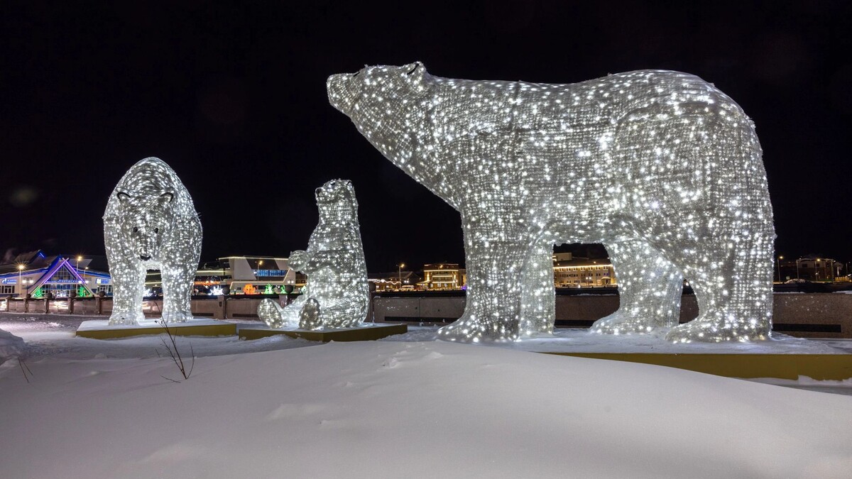    Фото: Федор Воронов / «Ямал-Медиа»