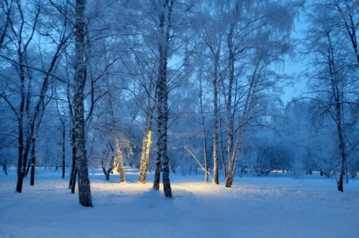    4 декабря в Новосибирске днем ожидается 0°C