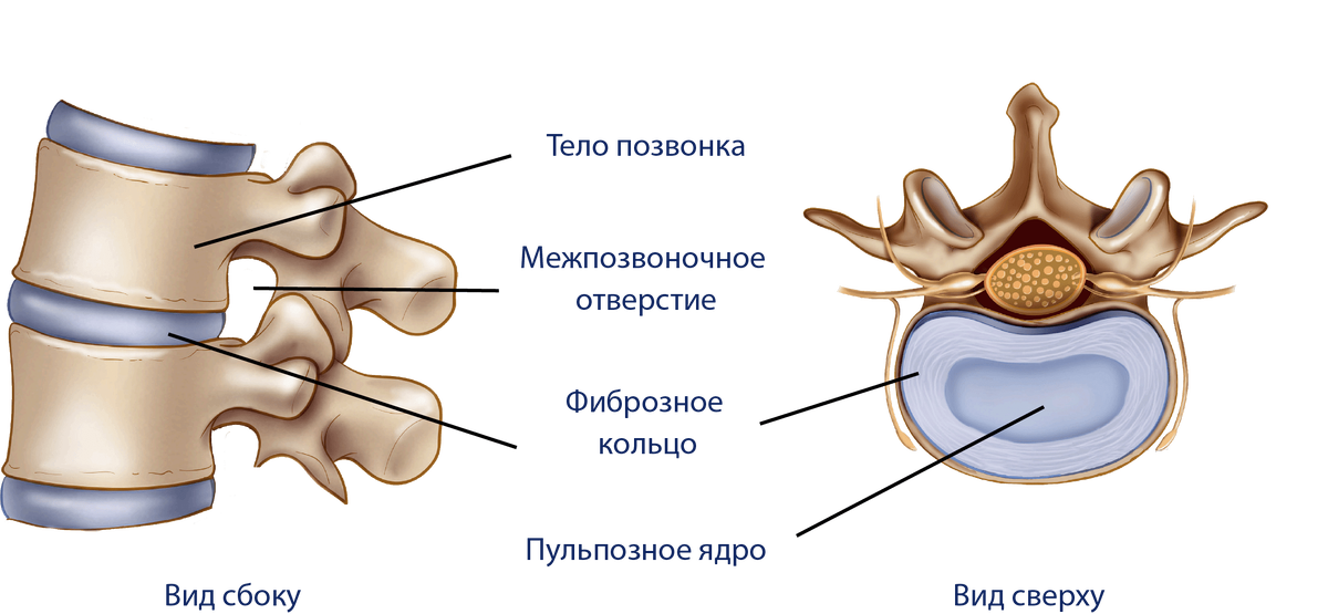 источник con-med.ru