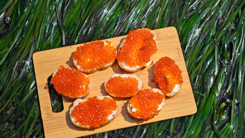    Фото: © РИА Новости/Александр Кряжев