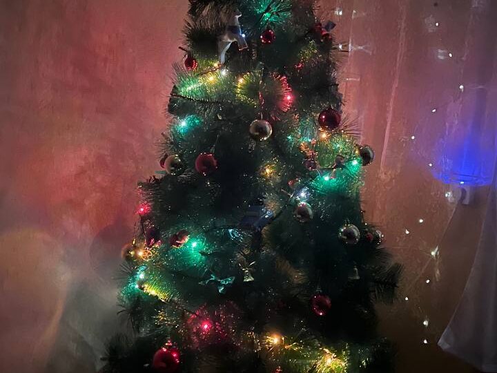 Вчера нарядили елку, а сегодня выезжаем в геш 🎿 Кстати, последние несколько лет добираемся до геша на самолете