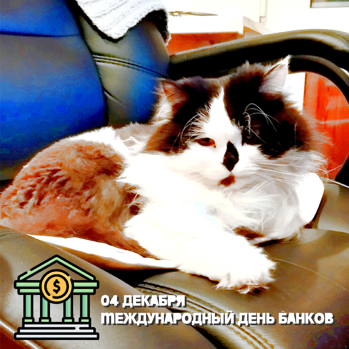 Комментарий Котейки По Имени Роршах: