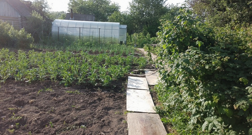    фото из архива редакции