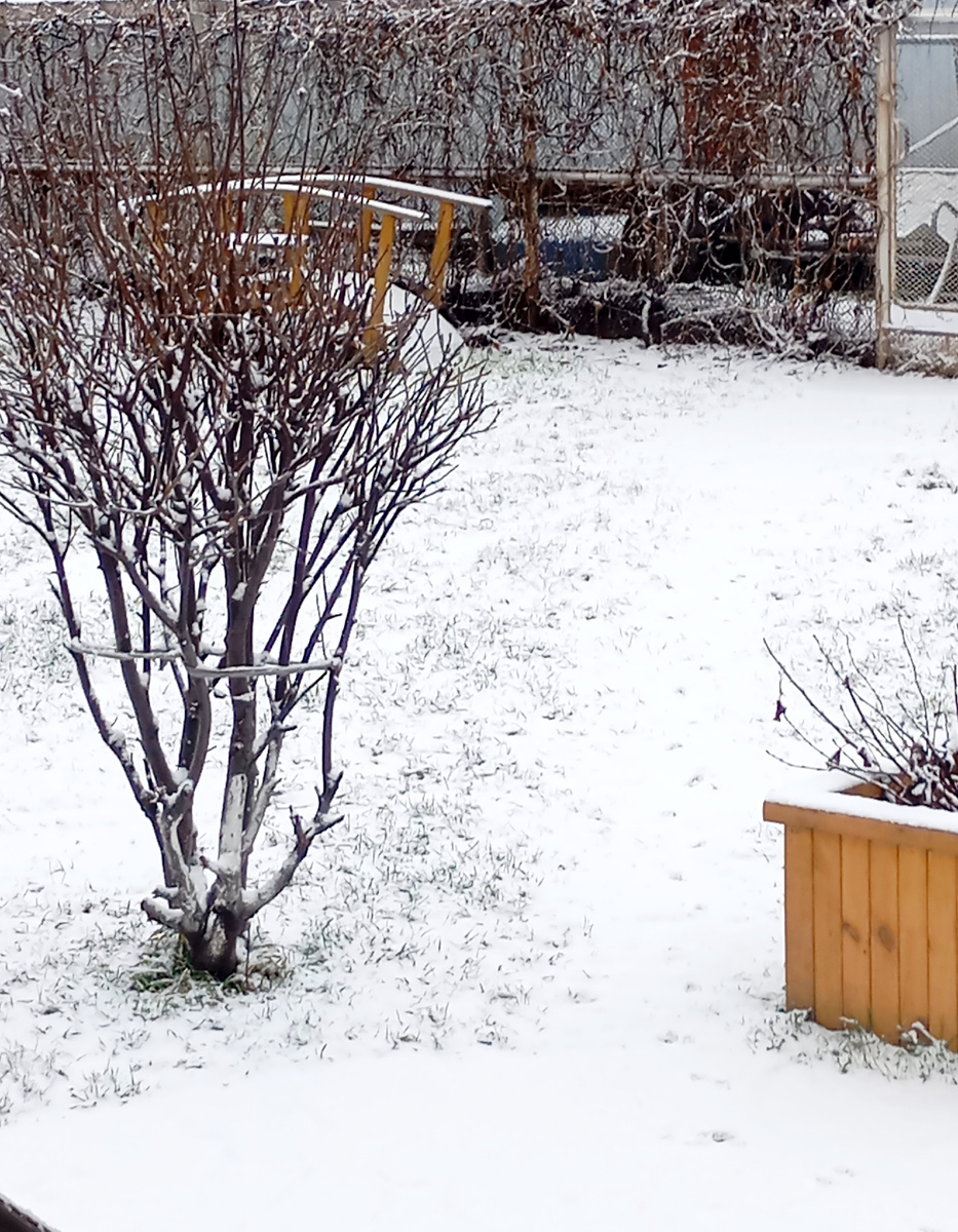 Ура, снег пошел!