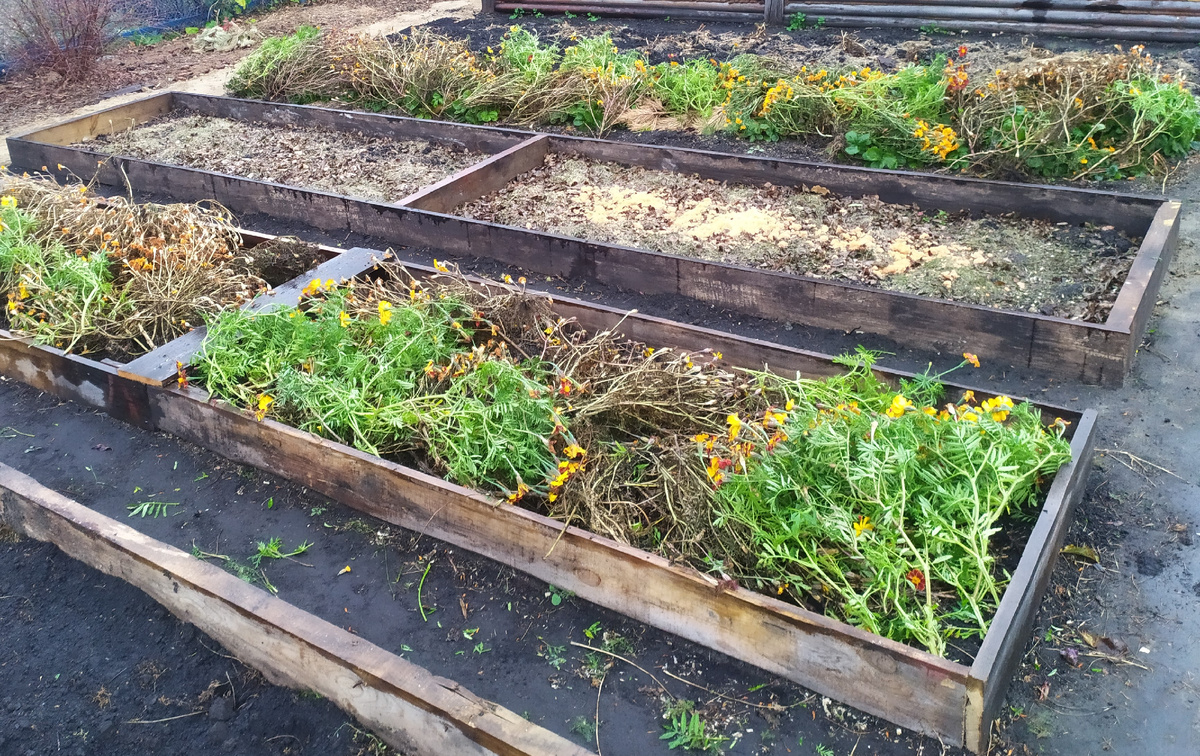 Фото 23 года