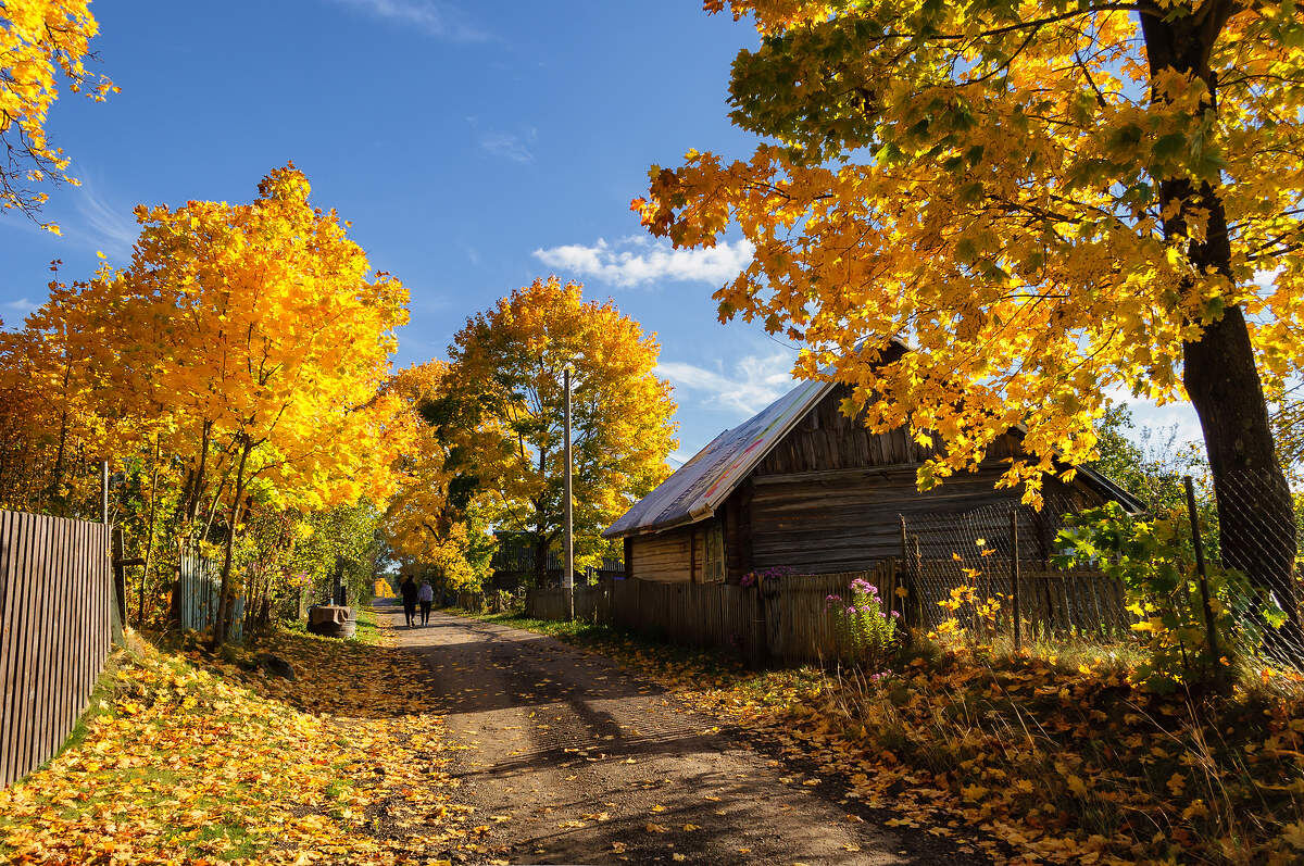 скрывать от соседки ничего не стала и обо всем доложила